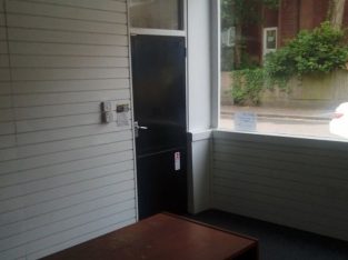 Shop with basement storage and yard