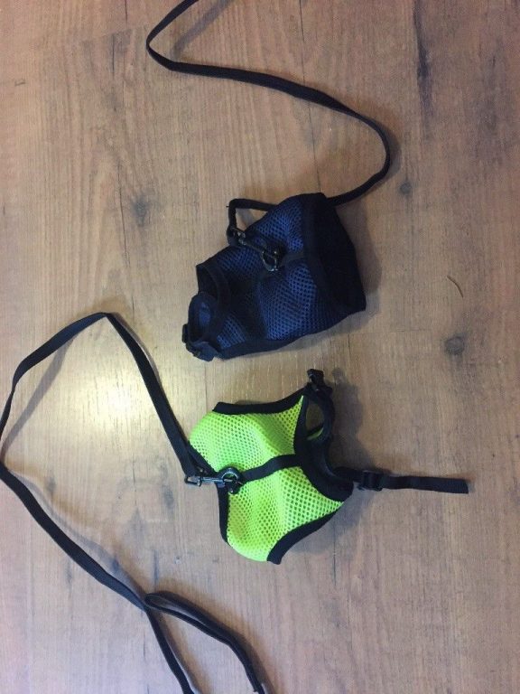 Used once – Rabbit harness