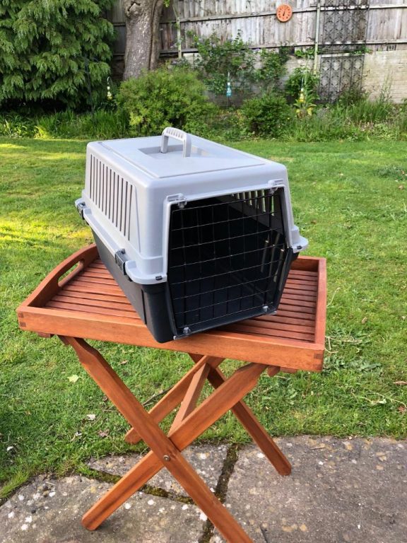 Various sizes Pet Carriers Quick Market