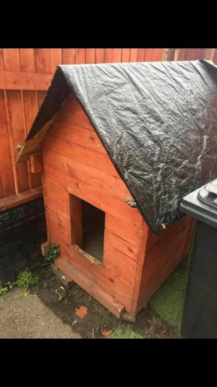 Good condition Big doghouse