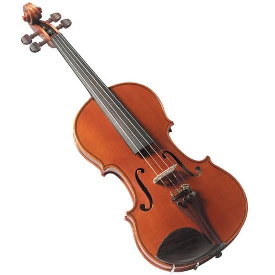 Looking for violin lessons
