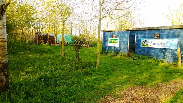 Ideal Rural Location – Specialist Poultry Breeding Business In Wiltshire For Sale
