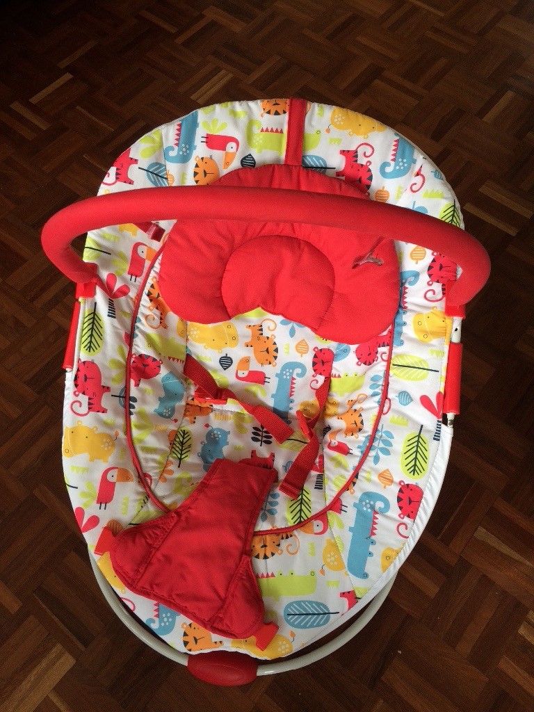 Amazing Baby bouncer