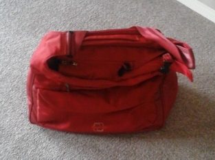 Lovely Pacopod red bag