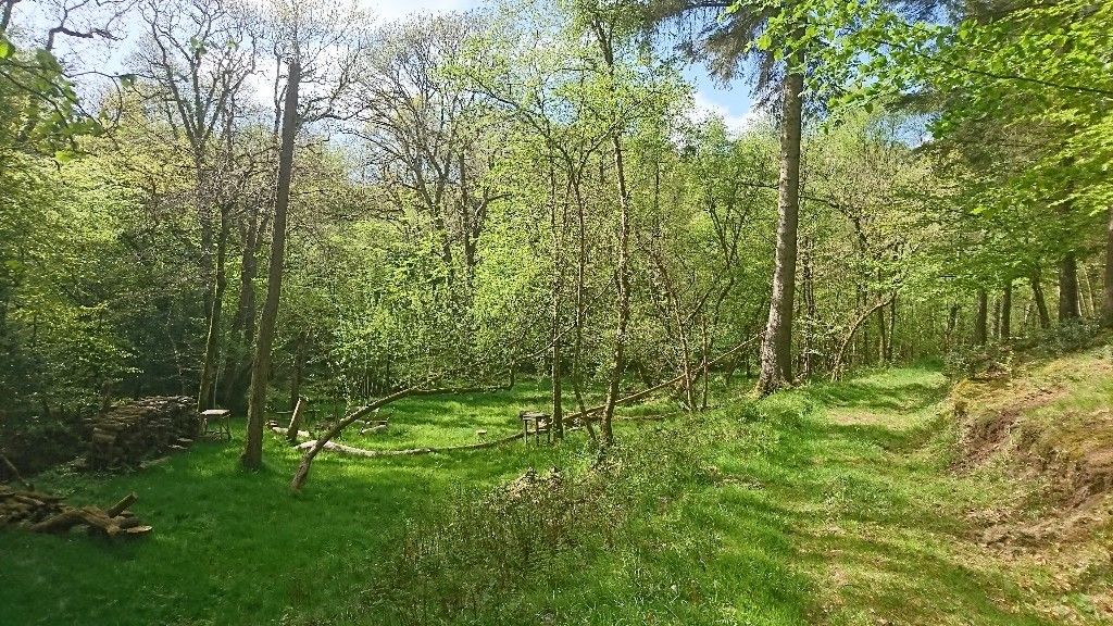 Woodland Near Cheriton Bishop, Exeter, Beautiful, Secluded, peaceful, 4.75 Acre