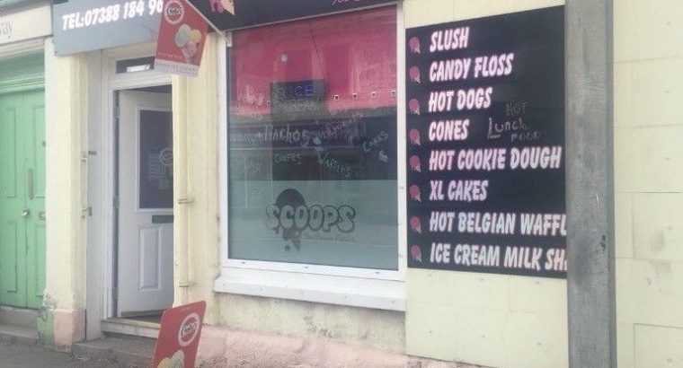 Profitable ice cream business for sale