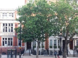 Prime Furnished Affordable Office Space