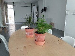 Co working / Desk Space and Photograhy Studio