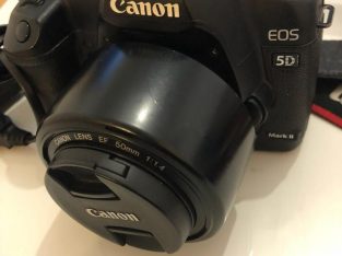 Perfect working Canon 5D Mark ii