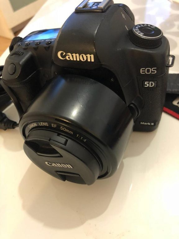 Perfect working Canon 5D Mark ii