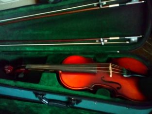 Beginner Violin