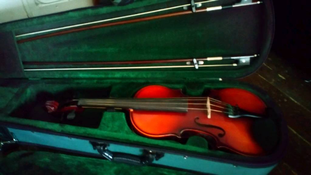 Beginner Violin