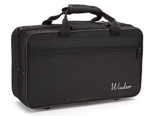 Brand New Bb Clarinet protective case, free book, reeds and other great accessories!