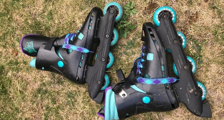 Retro Roller skates adult inline