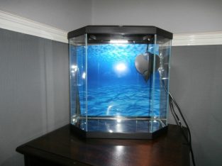 Black Ciano Aquarium 25 Litre w/ underwater filter