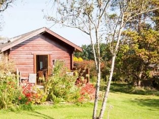 £100 discount in August Cherry Tree Cabin – St. Ives – sleeps 2