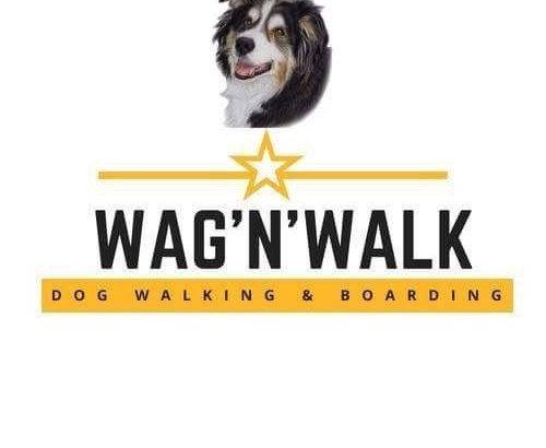 Dog walking & boarding