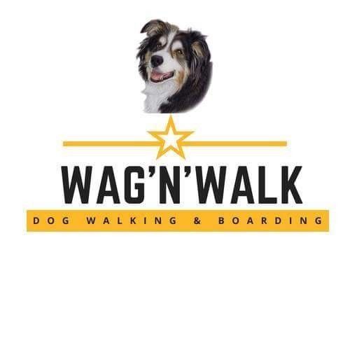 Dog walking & boarding