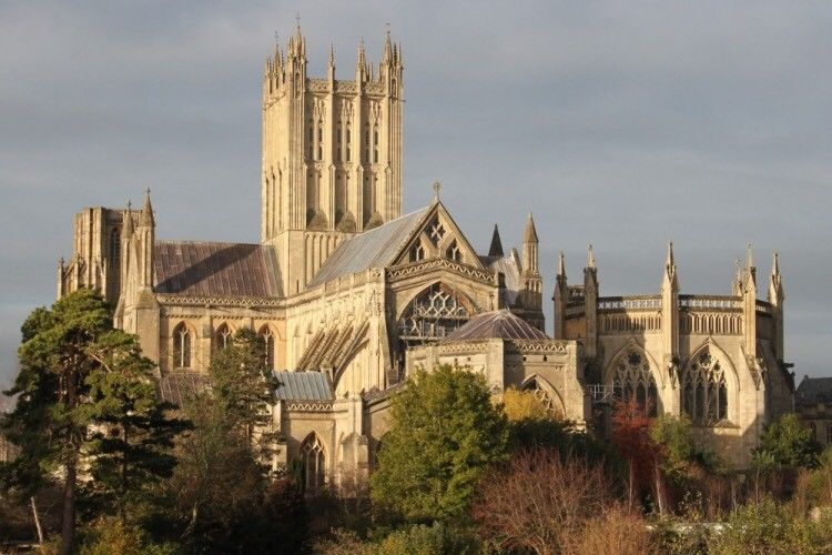 Wells area Wanted Carer / Companion wanted