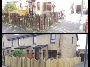 Professional standards All Landscaping , gardening work