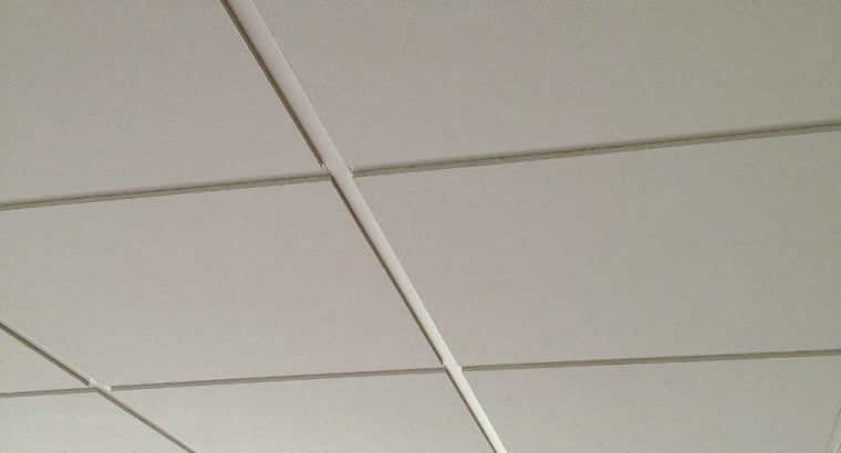 Installation of Suspended Ceilings and Partitions