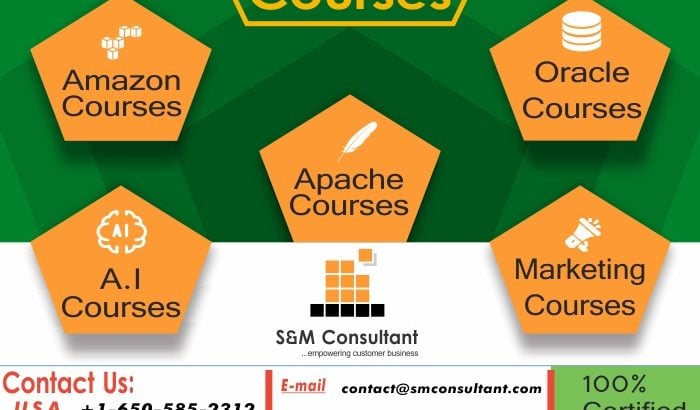 Best Oracle APEX Training Online