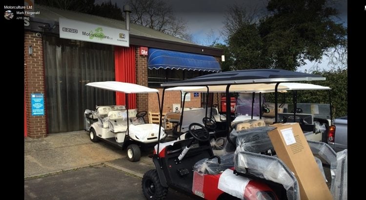 Buy a Golf Buggy & Passenger Shuttle Vehicle Business