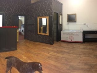 West Sussex Profitable Dog Grooming Business For Sale