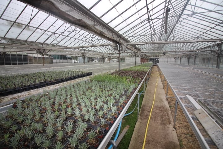For Sale Wholesale Nursery/Garden Centre Opportunity, Surrey