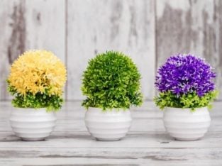 Manchester Commercial Floral Decoration Business For Sale