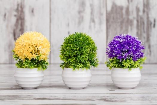 Manchester Commercial Floral Decoration Business For Sale