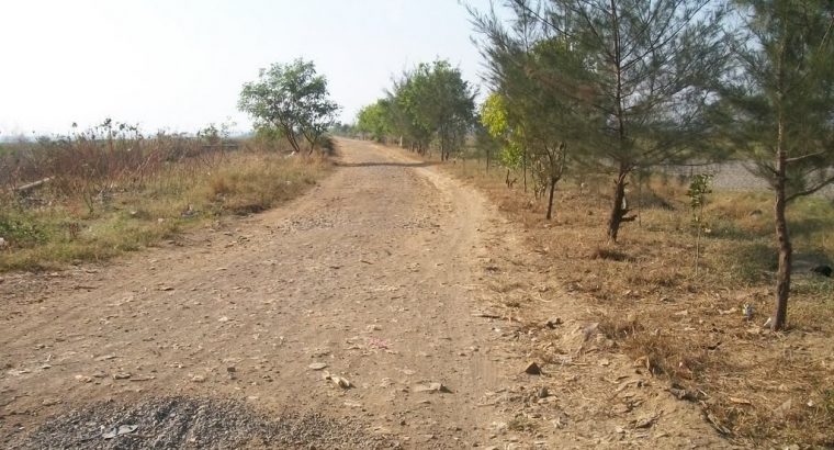 plots and farmland for sale at shadnagar and moinabad