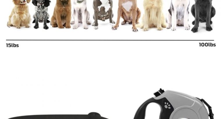 Retractable Dog Lead and Collar Set