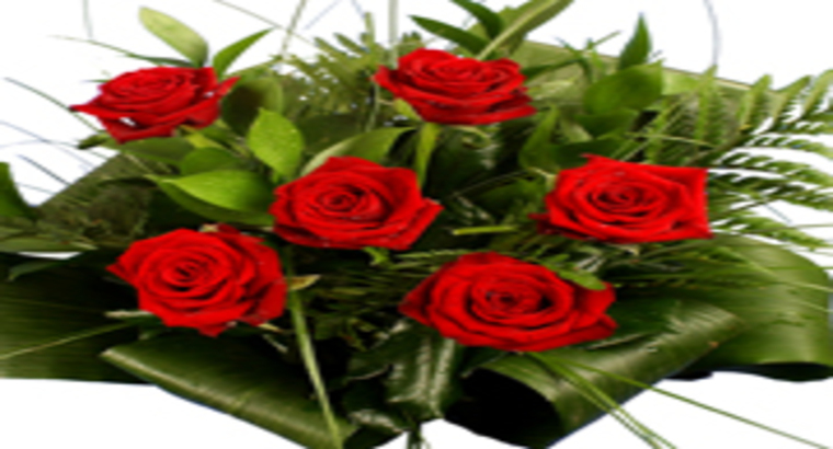 Roses Delivery