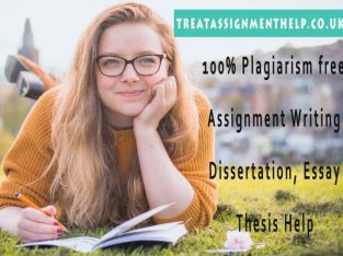 MBA Assignment Help in UK