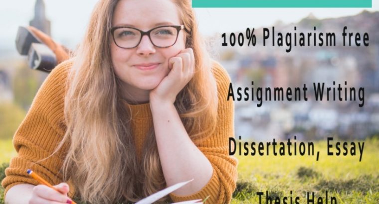 MBA Assignment Help in UK