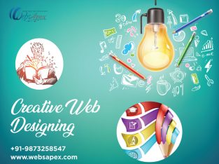 Web Designing Company in Sonipat, Haryana-webs199