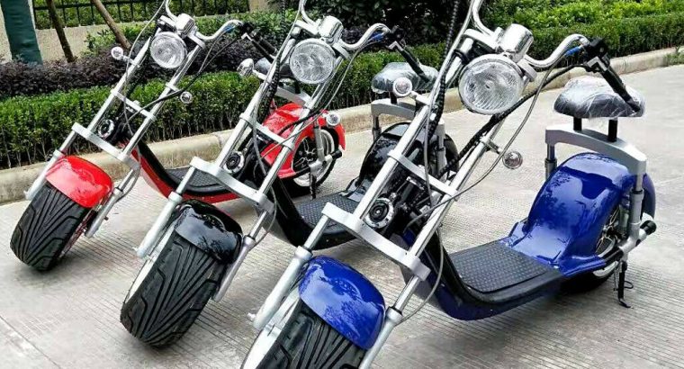 3000 Watts Newest fat Tyre Citycoco Electric Scoo