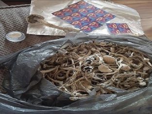 Offer psychedelics,K2 spice,lsd,dmt