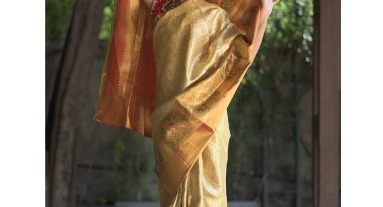 Saree & Drese Matireal Shop