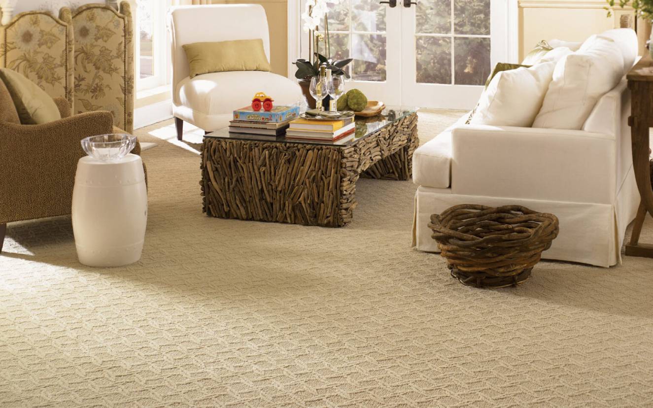 carpet cleaning|carpet cleaning services in london