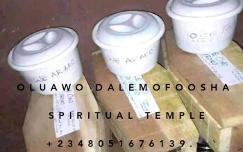 The No 1 Powerful Herbalist and native