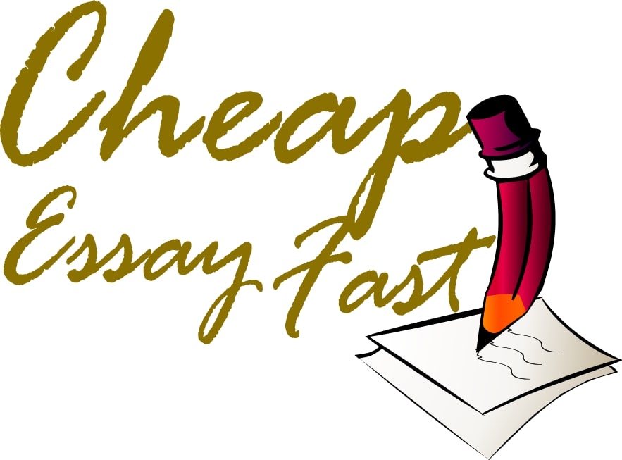 Essay writing USA