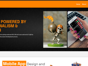 web development, e commerce, online marketing ,seo marketing