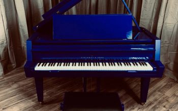 I’M GIVING AWAY STEINWAY AND SONS GRAND PIANO