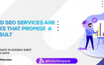 we will do rank your website google top first page