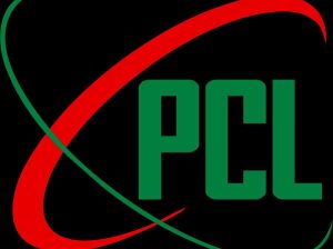 Piioneer Capital Limited