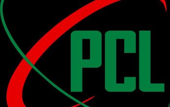 Piioneer Capital Limited