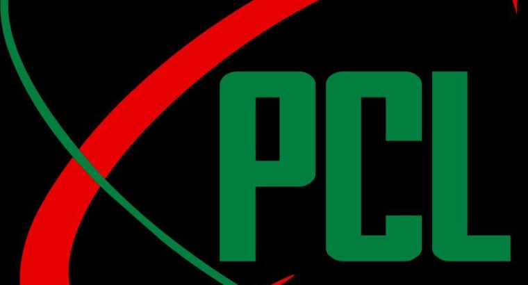 Piioneer Capital Limited