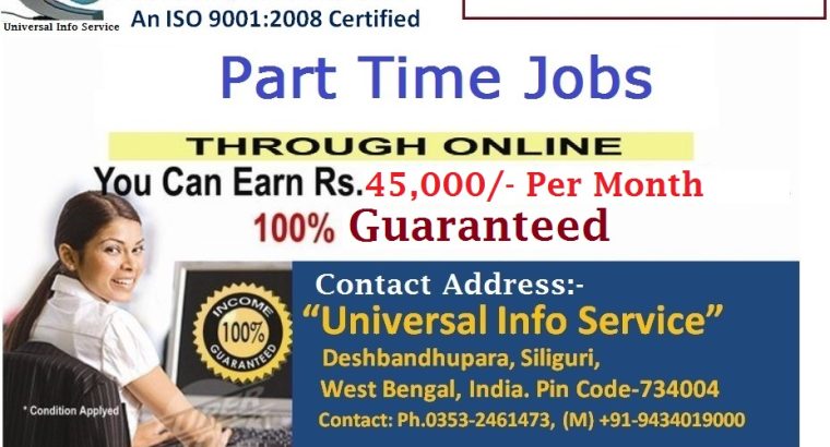 Home Based Online Freelancing Job